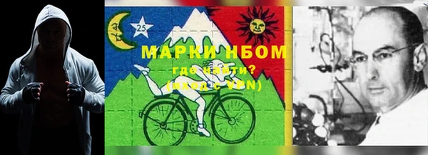 прущие грибы Арсеньев