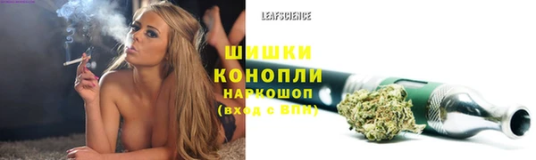 прущие грибы Арсеньев