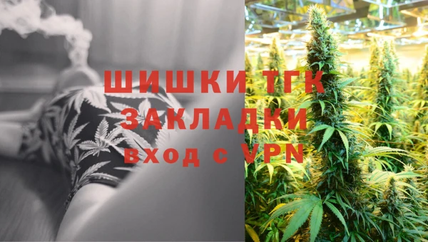 прущие грибы Арсеньев