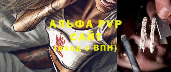прущие грибы Арсеньев