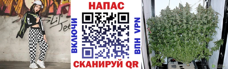 МАРИХУАНА индика  Малмыж 